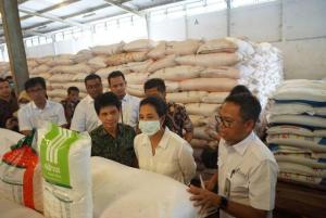 Menteri Rini Tinjau Gudang Milik PT Pupuk Indonesia di Cianjur