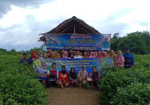 Florikultura, Potensi Ekonomi Baru Masyarakat Banjar