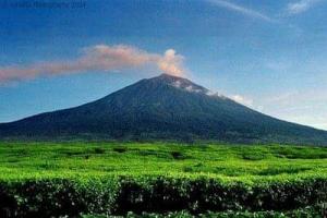 Jambi Layak Sebagai Kawasan Strategis Wisata Nasional
