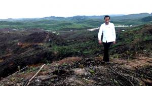 Penegasan Jokowi Soal Rencana Investasi di Ibu Kota Baru Indonesia