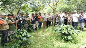 Rehabilitasi Lahan Sekitar DAS Citarum Melalui Penanaman Pohon