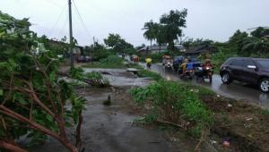 Angin Puting Beliung Menerjang Tulang Bawang, 233 Rumah Warga Rusak Parah