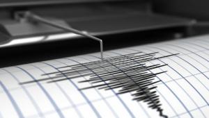 Gempa Berkekuatan M 7,1 Terjadi di Daruba Maluku Utara, Tidak Berpotensi Tsunami