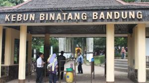 Kebun Binatang Bandung Buka Kembali, Terapkan Protokol Kesehatan