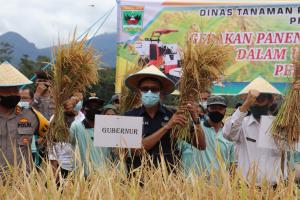 Wali Nagari Minangkabau Minta Gubernur Sumbar agar Perbaiki Saluran Irigasi
