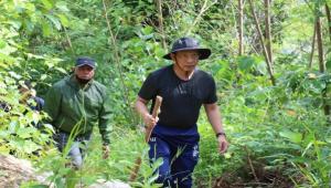 Bersama Para Dirjen dan Kapolda Papua, Mendagri Isi Liburan Naik Gunung