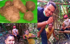  Kisah Pilu Perantau Asal Flores di Bali Makan Ubi Hutan untuk Bertahan Hidup
