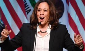 Kamala Harris Resmi Cawapres Partai Demokrat dalam Pilpres Amerika Serikat