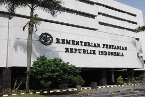 Pemerintah Yakinkan Stok Beras Aman Hingga Awal Tahun 2021