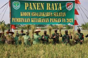 Program Ketahanan Pangan, Kodim 0504/JS Panen Raya Padi