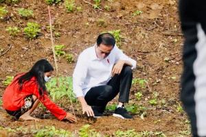 Tanam Pohon di Lombok, Jokowi Minta Warga Jaga Lingkungan Agar Tak Longsor dan Banjir