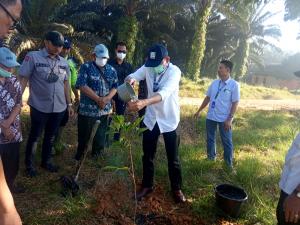PTPN VI Jambi Gelar Penanaman dan Open Donasi Pohon