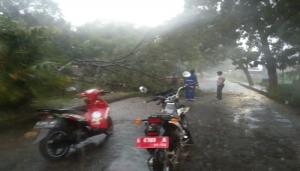 138 Rumah Warga Cirebon Terendam, Dua Lainnya Rusak Akibat Banjir