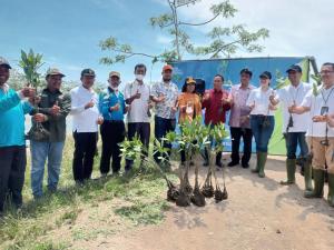 Penanaman Mangrove, Upaya PNM Melestarikan Ekosistem Laut di Medan