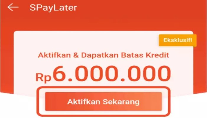  Cara Mengaktifkan PayLater