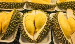 Tumbuh Subur di Indonesia, Asal Usul Durian Monthong Asal Thailand