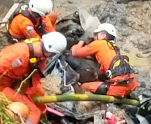Cuaca Ekstrem Akibatkan Banjir dan Longsor di Pulau Dewata