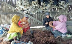 Berdayakan Masyarakat Wakatobi, FedEx Express Berkolaborasi dengan Yayasan Konservasi Alam Nusantara