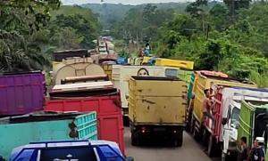 Pasca Dihentikan Sementara, Sopir Travel Bahagia, Sopir Batubara Merana
