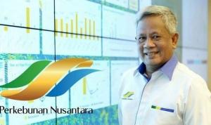 Wujudkan Ketahanan Pangan, Holding PTPN Umumkan Penggabungan 13 Perusahaan Jadi 2 Sub Holding