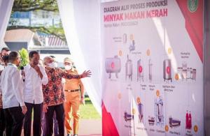 Teten Masduki Terbitkan Peraturan tentang Pendanaan 3 Pabrik Minyak Makan Merah di Lahan PTPN III