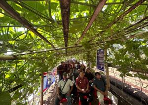 Program Desa Berdaya, PLN UIP Nusra Gelar Pelatihan Hortikultura untuk Warga Sekitar PLTP Ulumbu di Poco Leok