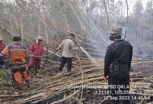 Karhutla di Ogan Komering Ilir, Ini Upaya Tim Satgas Darat dan Udara Kendalikan Kebakaran