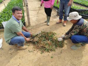 Peduli Warga, Mengenal Unit Usaha Rimbo Dua, PTPN VI