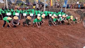 PNM Tanam 800 Kg Benih Pohon Dorong Wujudkan Ketahanan Pangan Desa