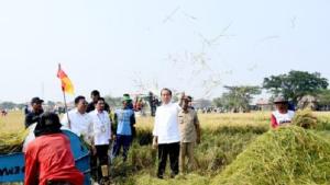 Panen Beras di Subang, Presiden: Butuh Penambahan Stok Cadangan Beras Nasional Hingga 1,5 Juta Ton