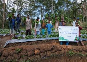 PT PLN Gagas Tanaman Hortikultura, Harapan Baru Pertanian Produktif Bagi Warga Poco Leok