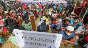 Hikmahanto: Pemerintah Bisa Minta UNHCR Mengambil Kembali Etnis Rohingya ke Cox`s Bazar