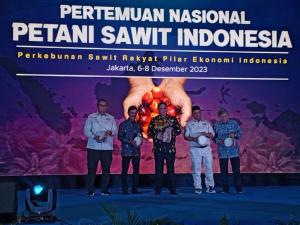 Penas Petani Sawit, Airlangga Komitmen PSR Dilanjutkan 