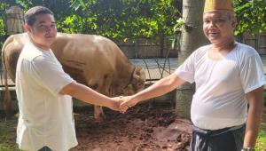 Sapi PT Pelayaran Fortuna Disembelih Mushala Al Asr