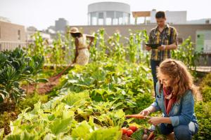 Embracing Urban Gardening for Maximum Use of City Space