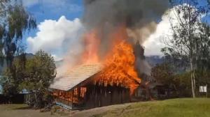 Ternyata Ini Alasan OPM Bakar Bangunan Sekolah di Pegunungan Bintang Papua