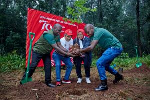 Peringati Hari Ulang Tahun Kemerdekaan RI ke-79, KBRI Nairobi Lakukan Penanaman pohon di Hutan Karura