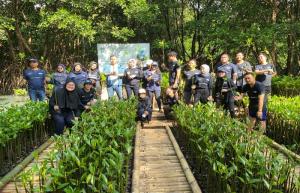 Peringati Hari Mangrove Sedunia, PNM Peduli Tanam 50.000 Pohon Mangrove untuk Tekan Bencana di Pesisir