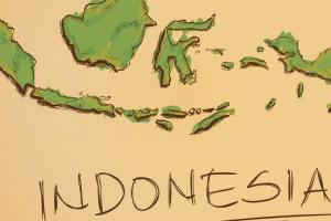 Tata Kelola Kebijakan Strategis Indonesianomic
