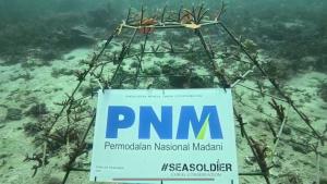 Peringati Sumpah Pemuda, PNM Gandeng Pemuda dalam Konservasi Terumbu Karang di Ambon