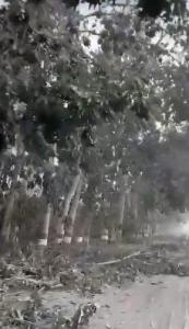Gunung Lewotobi Meletus