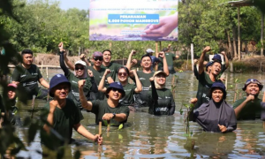 Gandeng Sejumlah Perusahaan, PNM Surabaya Tanam Mangrove di Kawasan Eco Wisata