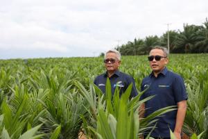  PTPN Inisiasi Program PSR Intercropping Padi Dukung Swasembada Pangan nasional