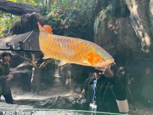 Aquarium Asia Arwana Kalimantan Dibuka di Kebun Binatang Ueno Jepang