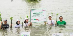 Wujudkan Masa Depan Berkelanjutan, AAJI Tanam 1.525 Bibit Mangrove di kawasan Muara Gembong