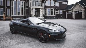 Apindo: Pemerintah Harus Gandeng Pengusaha Rancang PPN 12 Persen