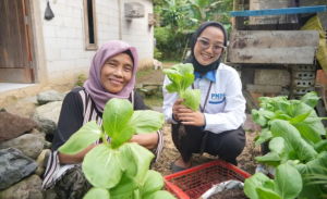 Program Rumah Pangan PNM, Upaya Tingkatkan Kesejahteraan Nasabah Mekaar