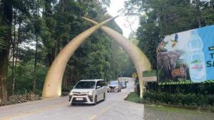 Viral Dugaan Eksploitasi Mantan Pekerja Sirkus OCI, Ini Klarifikasi Resmi Taman Safari Indonesia