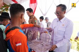 Andalkan Solusi Alami Tekan Hama Tikus di Lahan IPHA, Menteri PU Kerahkan Burung Hantu