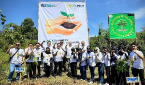 Gandeng PLN Icon Plus, PNM Perkuat Komitmen Lingkungan dan Ketahanan Pangan Lewat Penanaman 1.000 Pohon di Bandung